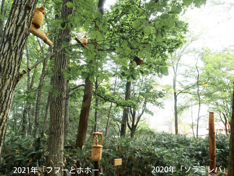 清水郁太郎